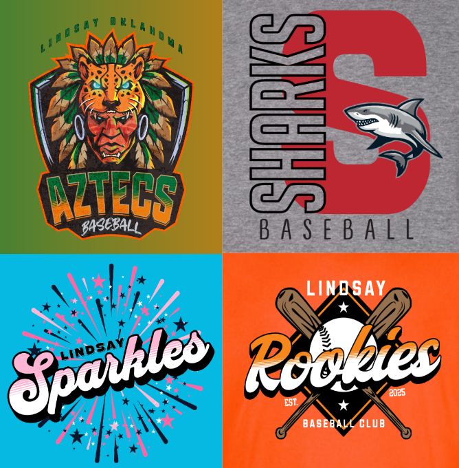 Youth League Sports